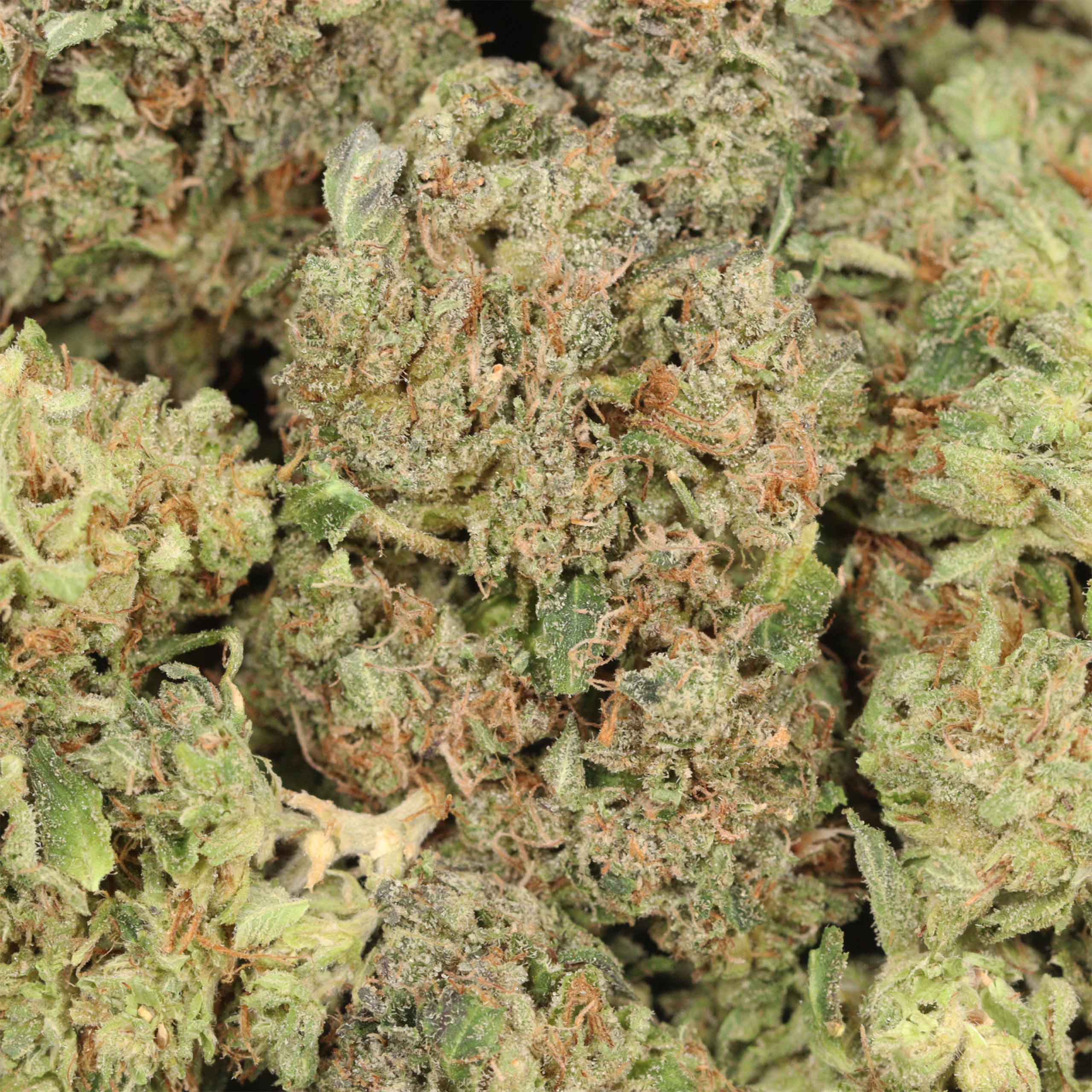 Pink OG - Image 3