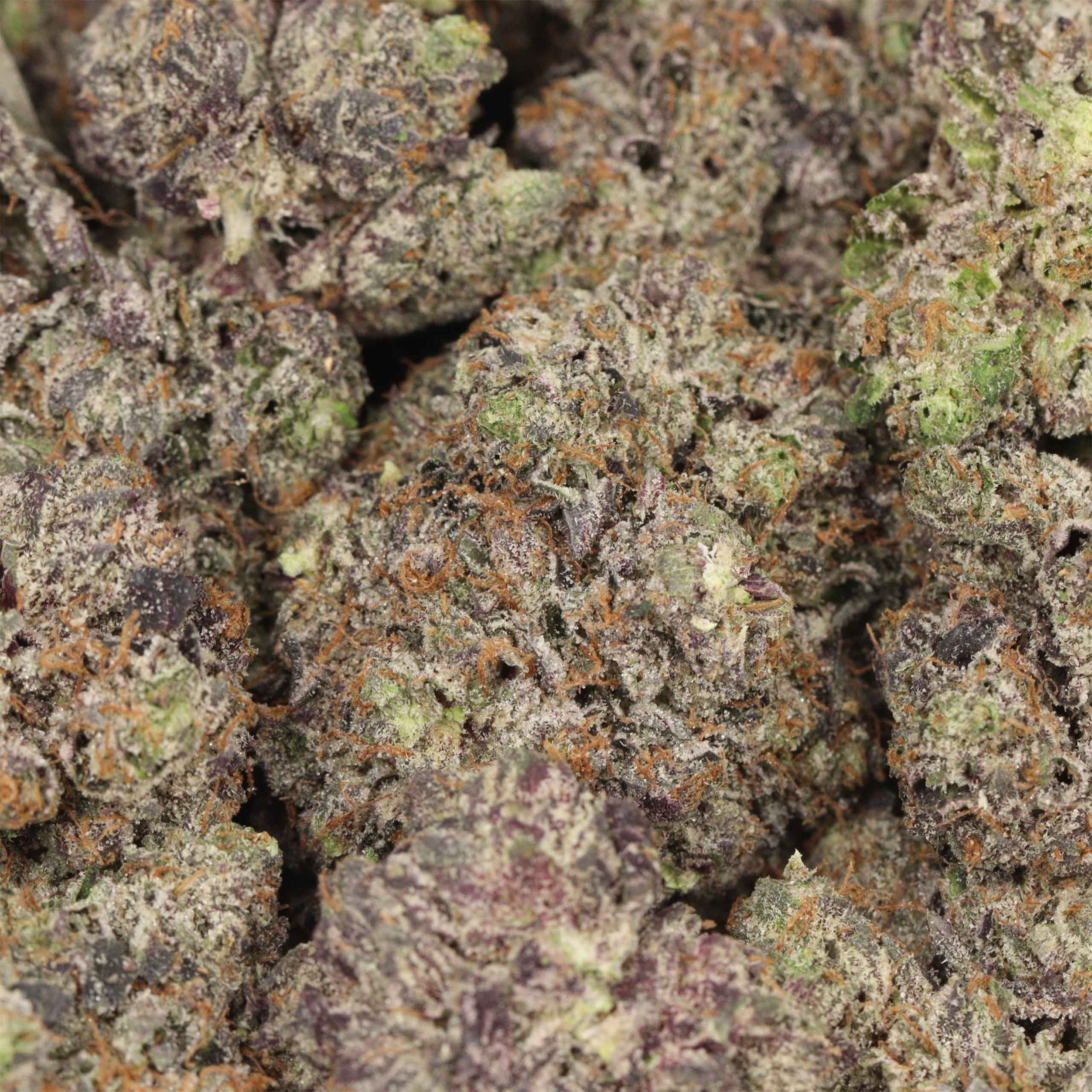 Pink Rob Ford LSO AAAA+ Indica Craft - Image 3