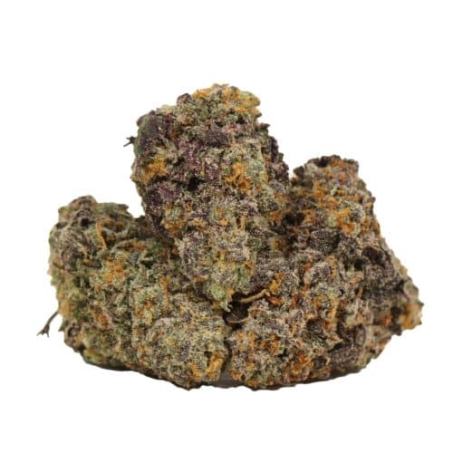 Purple Blizzard craft strain cannabis