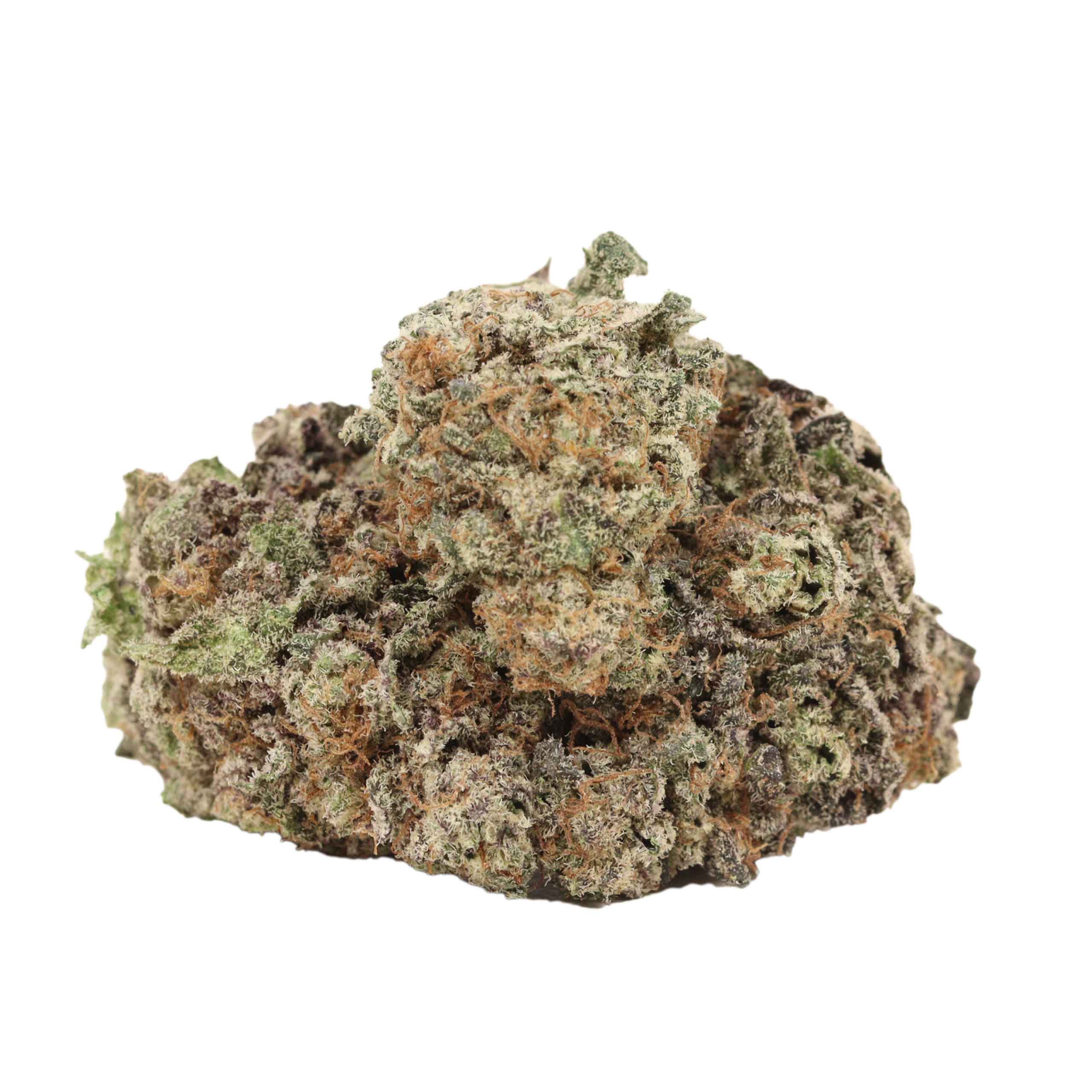 Purple Goo strain cannabis