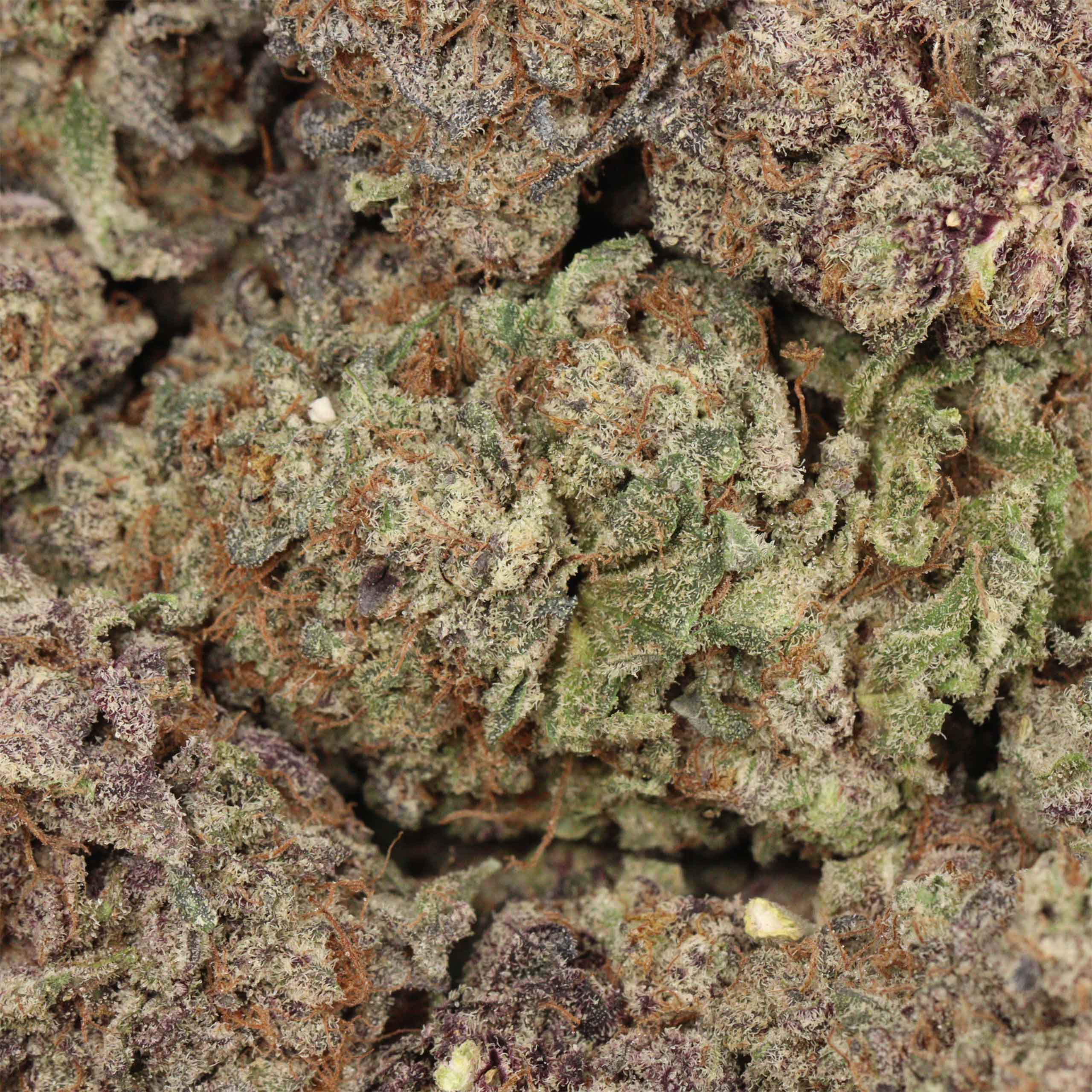 Purple Goo - Image 3