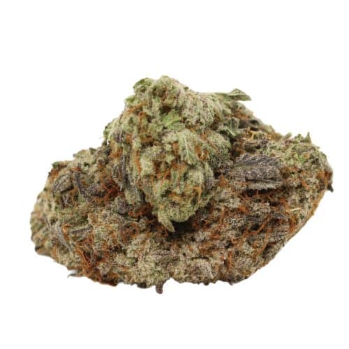 Raspberry Swirl strain cannabis