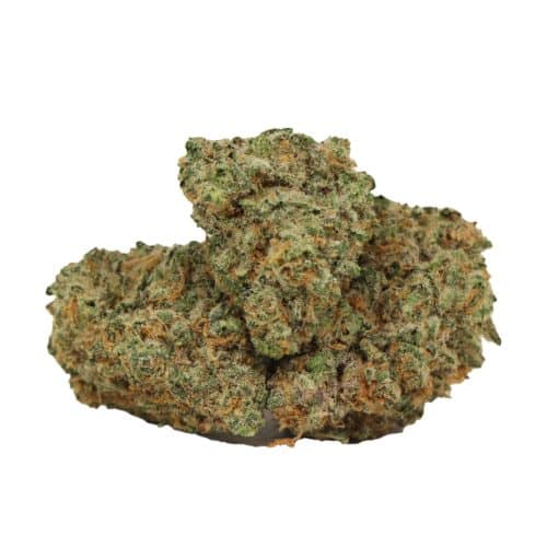 Red Congolese strain cannabis