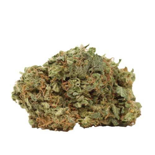 Romulan strain cannabis