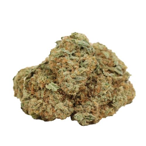 Silver Haze strain cannabis