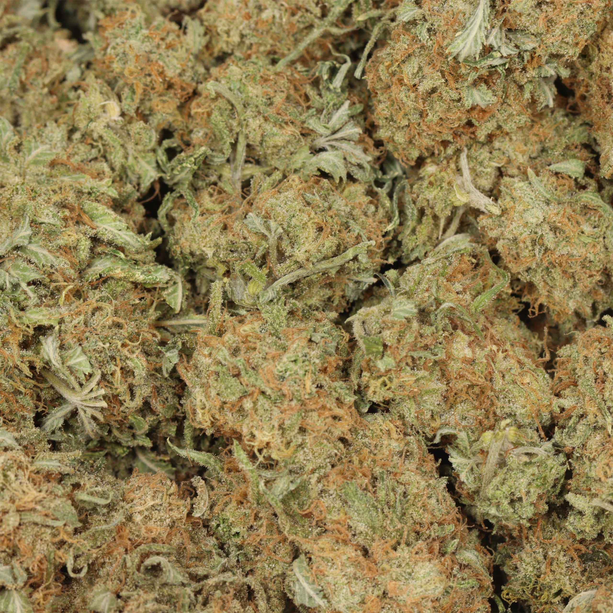 Silver Haze - Image 3