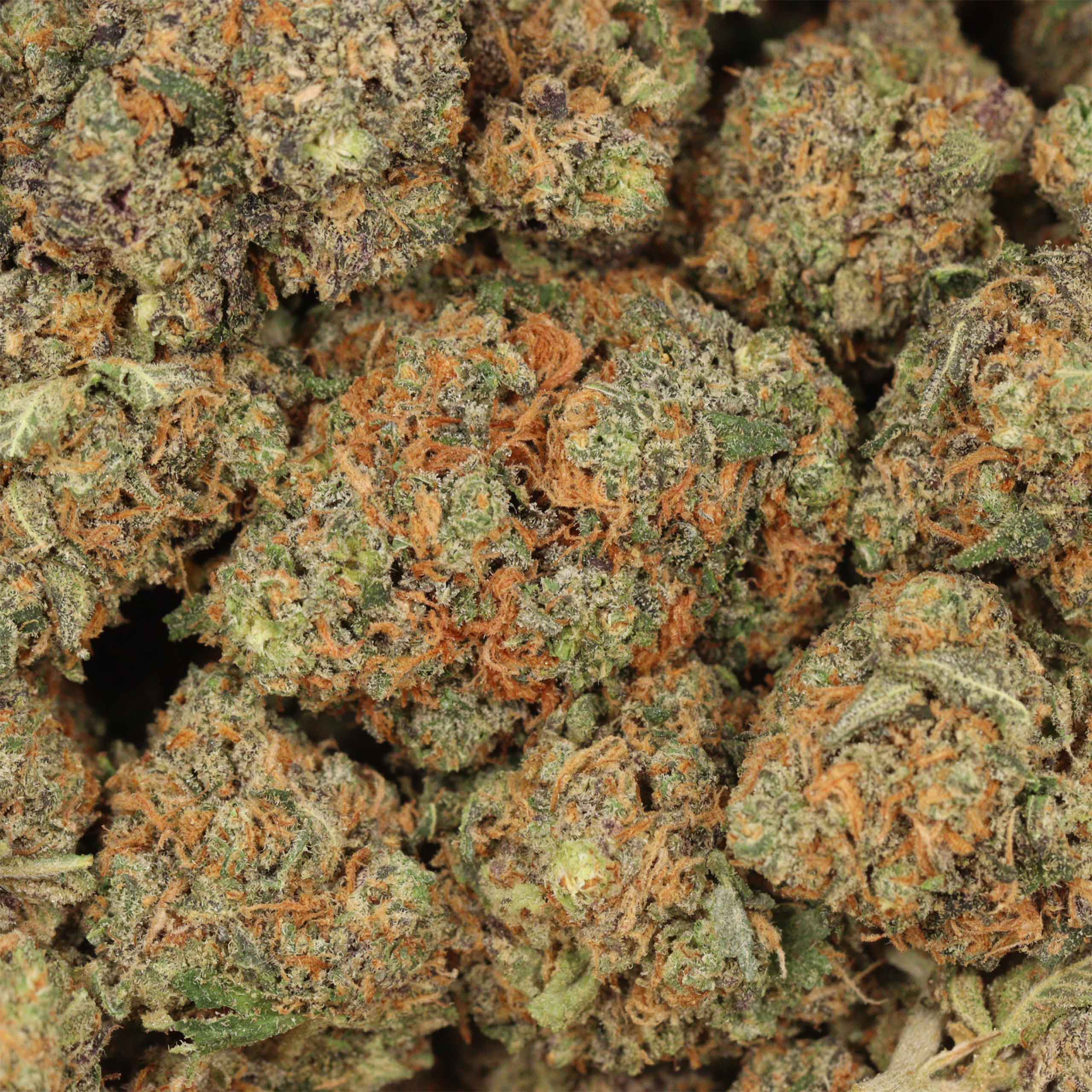 Skywalker - Image 3
