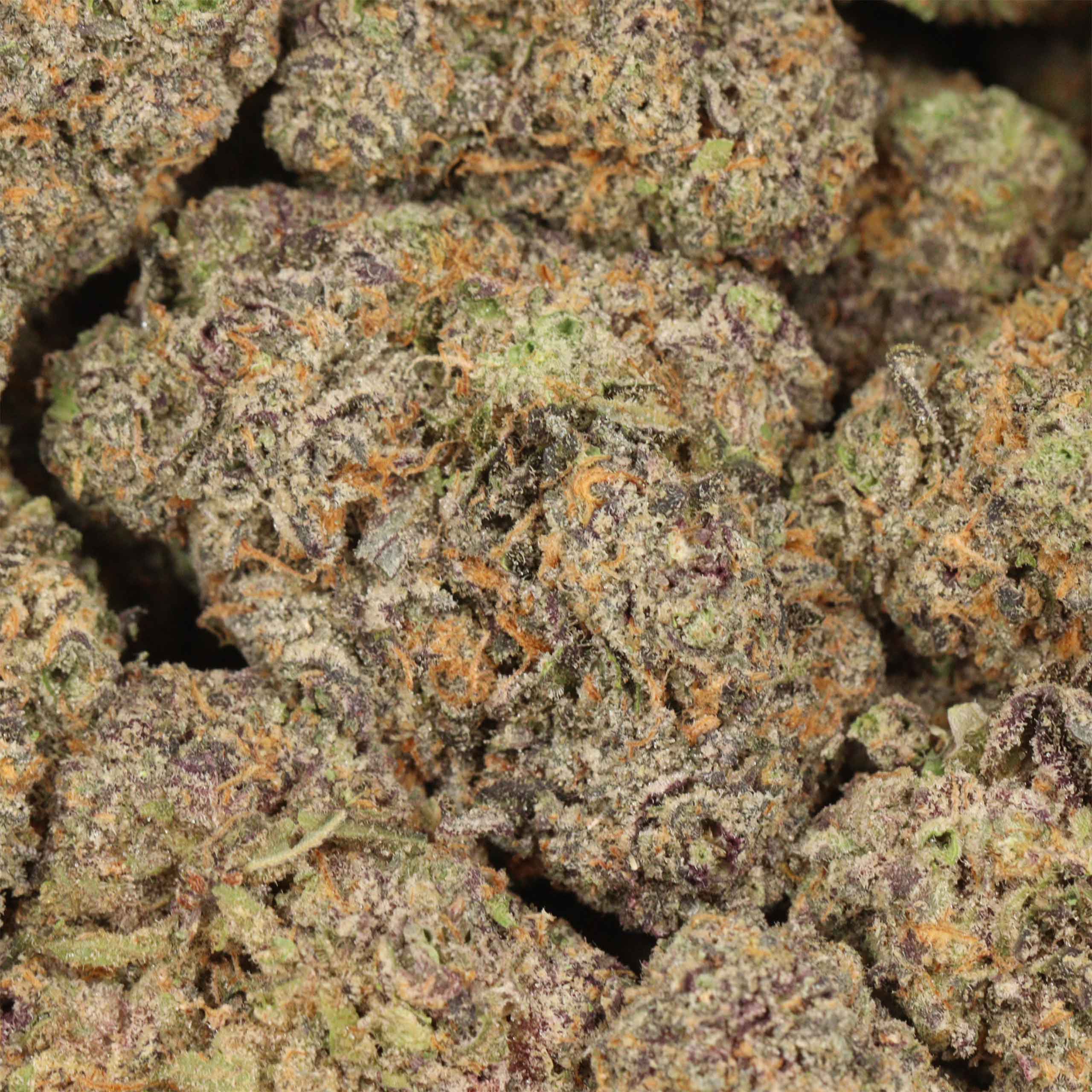 Skywalker - Image 3