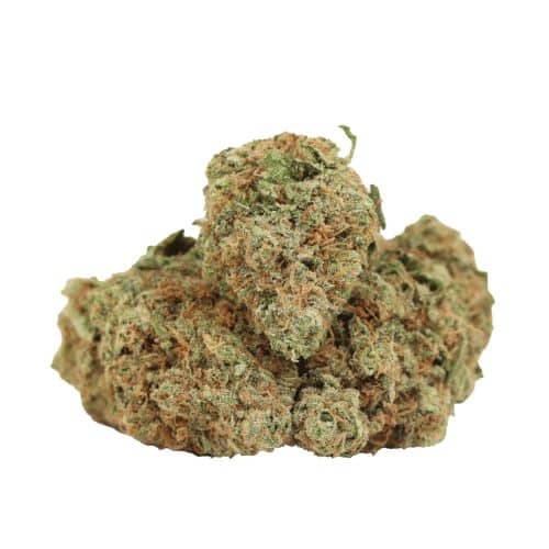 Sunset Sherbert strain cannabis