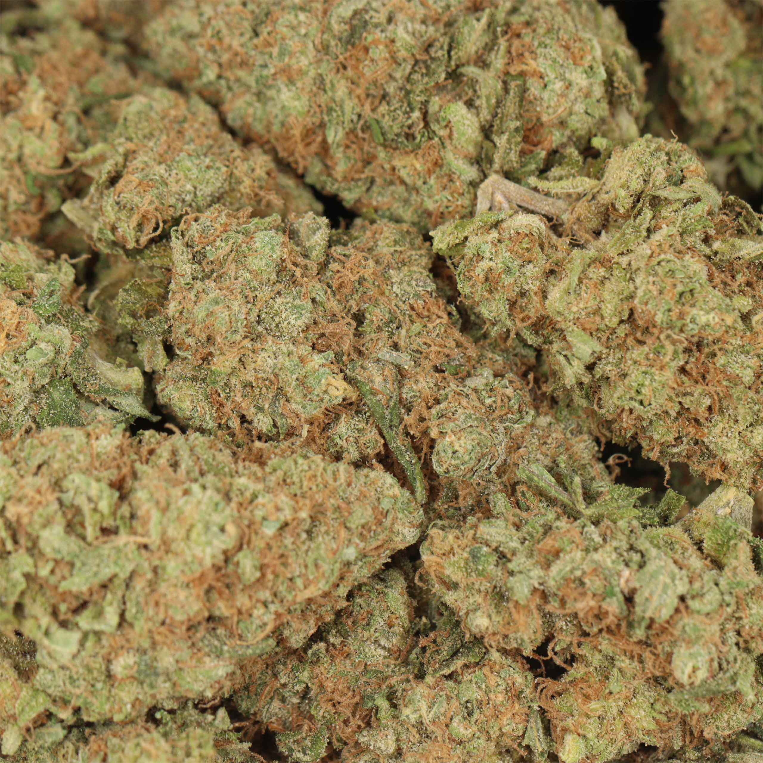 Sunset Sherbert - Image 3