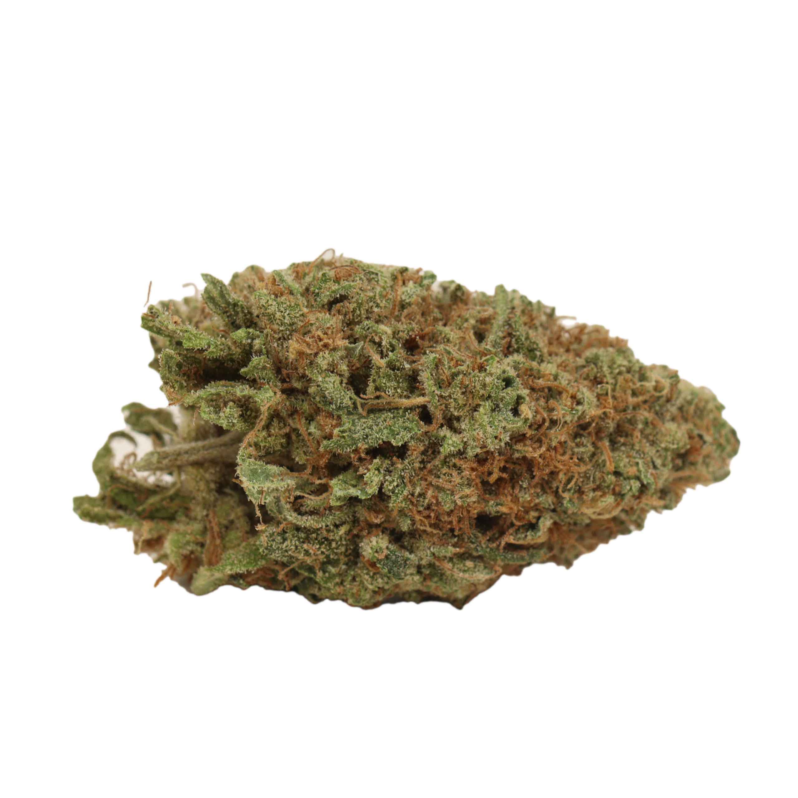 Sunset Sherbert - Image 2