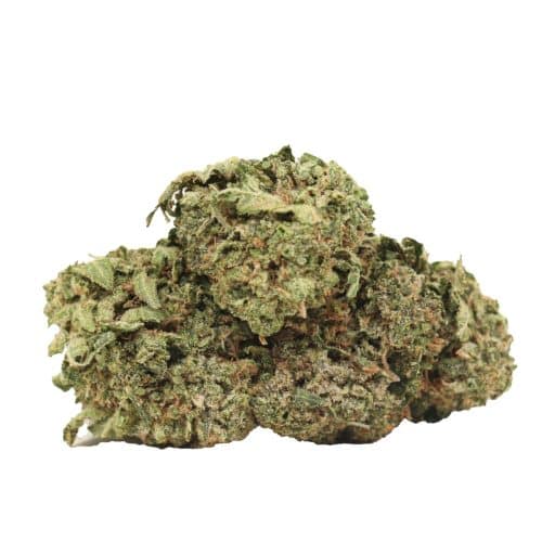 Tom Ford Pink Kush strain cannabis