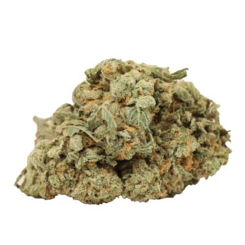 Tuna God strain cannabis