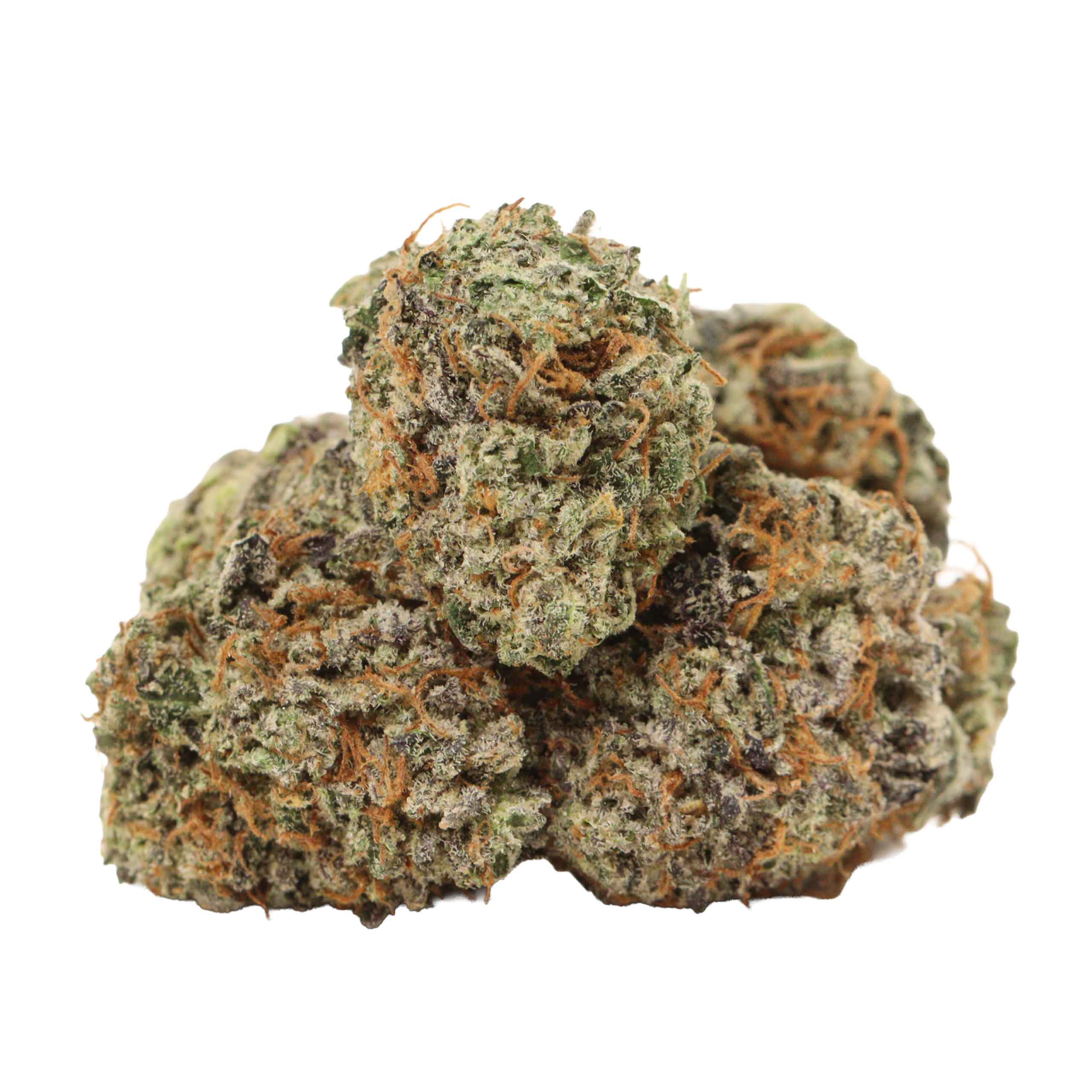Tuna Kush craft strain cannabis