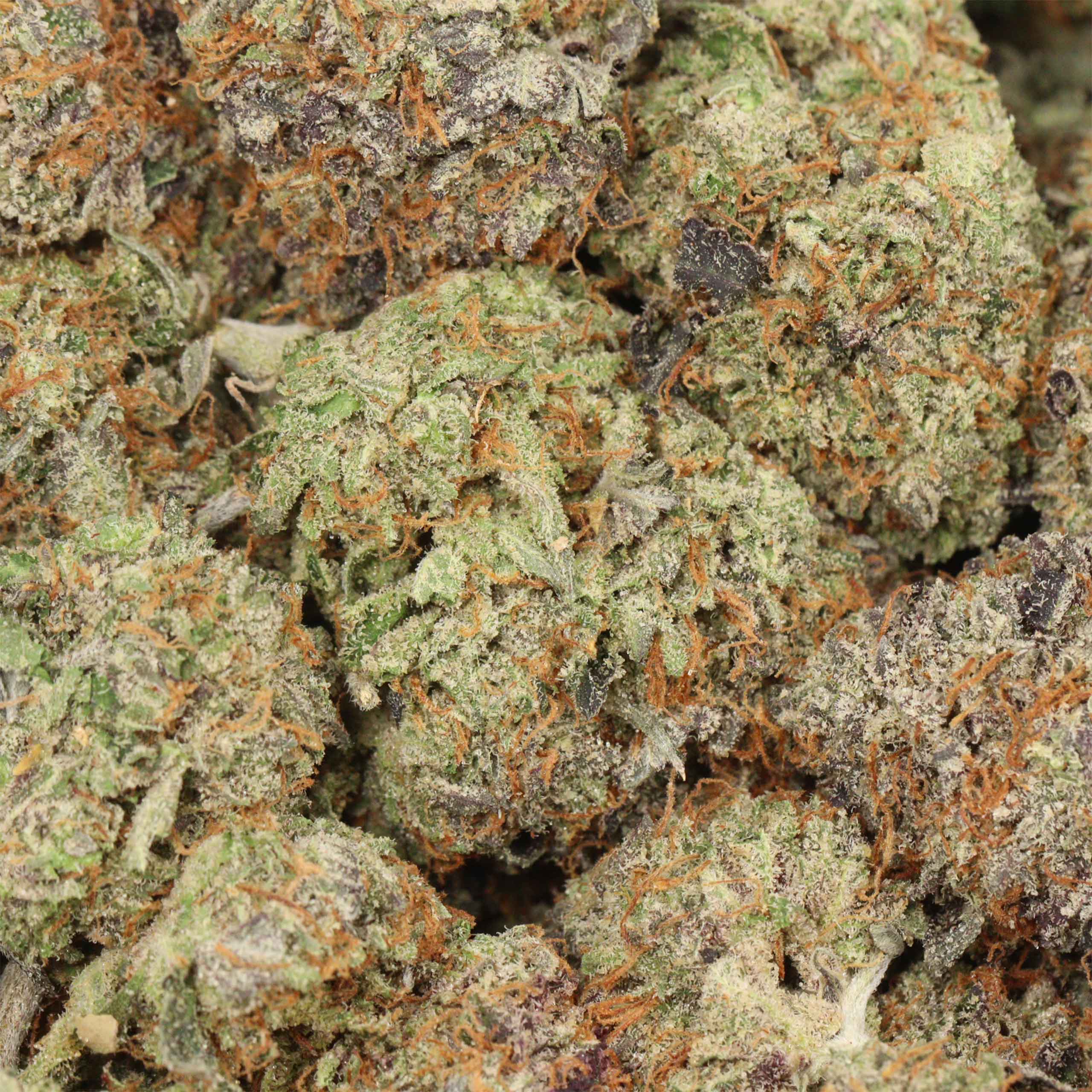 Tuna Kush AAAA+ Indica Craft - Image 3