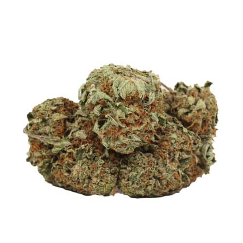 Tuna OG strain cannabis