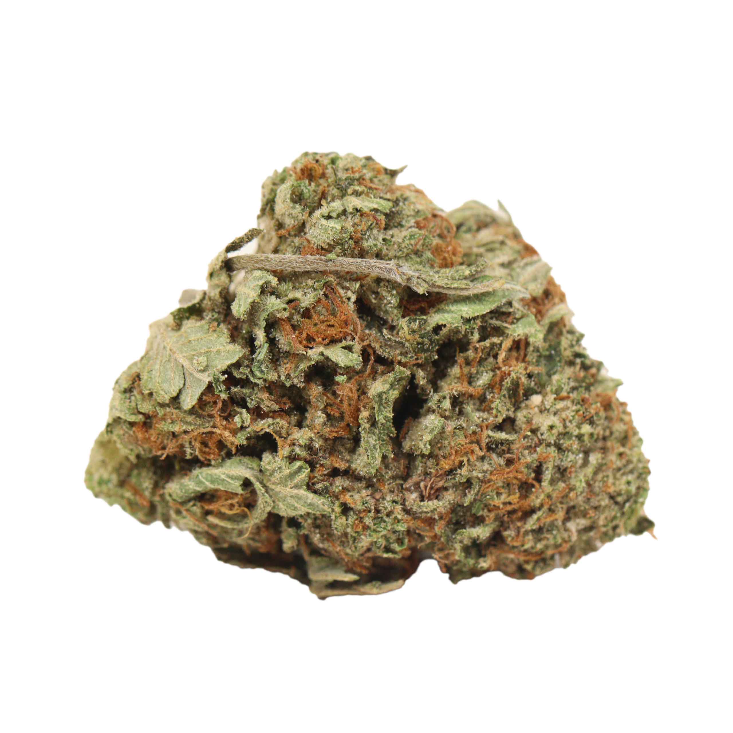 Tuna OG - Image 2