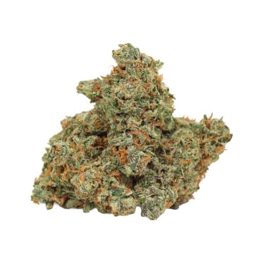 Ultra Banana strain cannabis