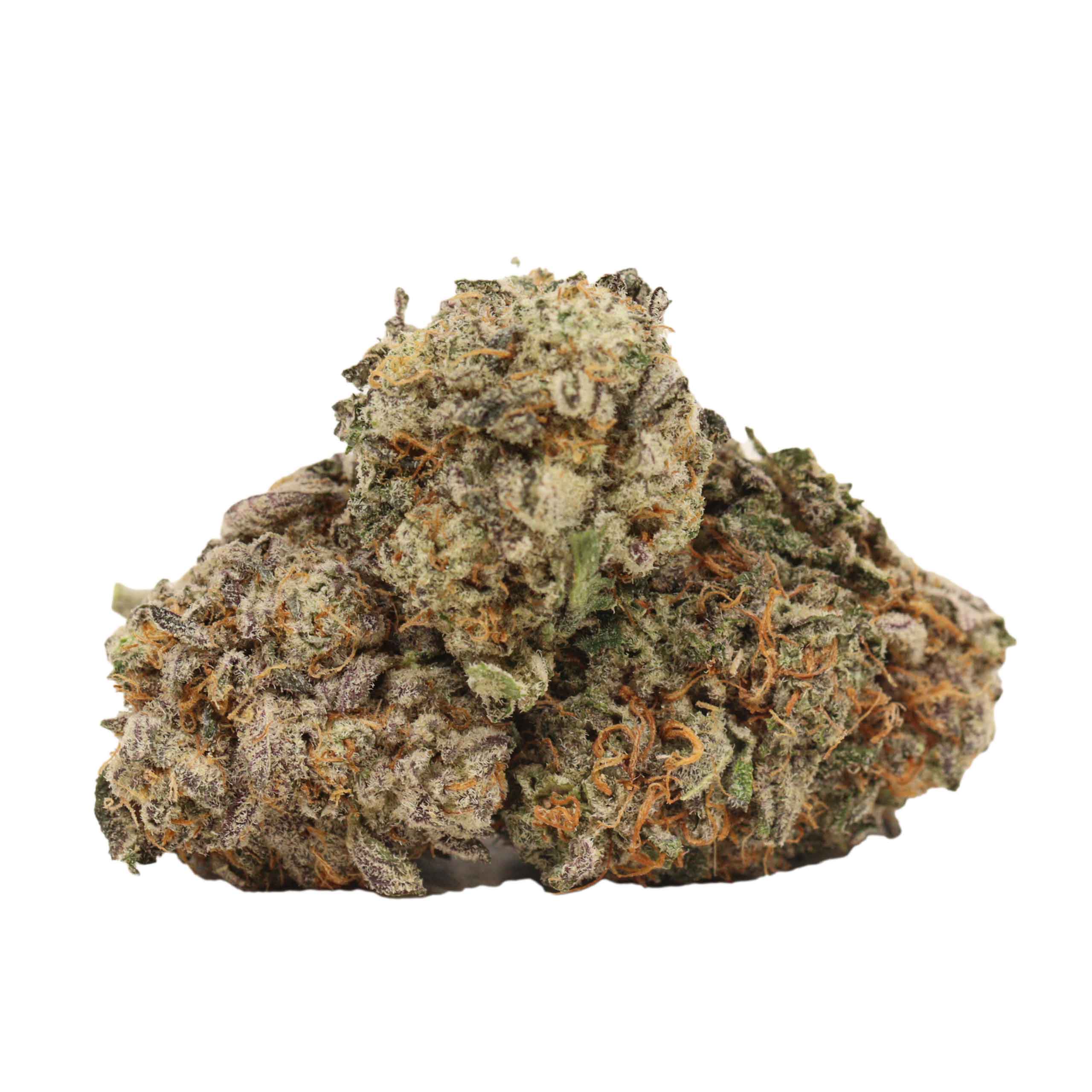 Violator Cheesecake strain cannabis