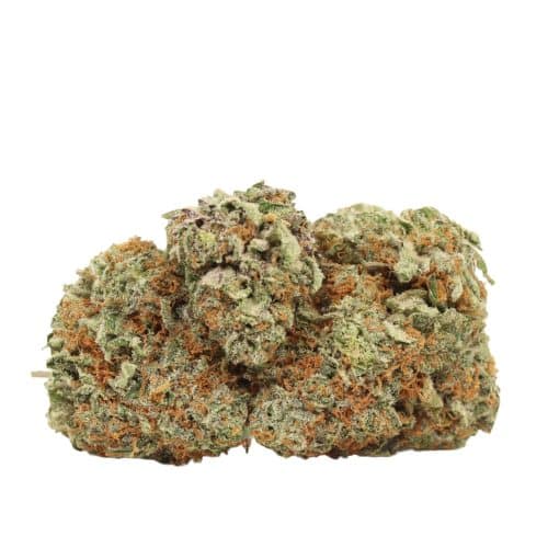 Wedding Cake strain cannabis