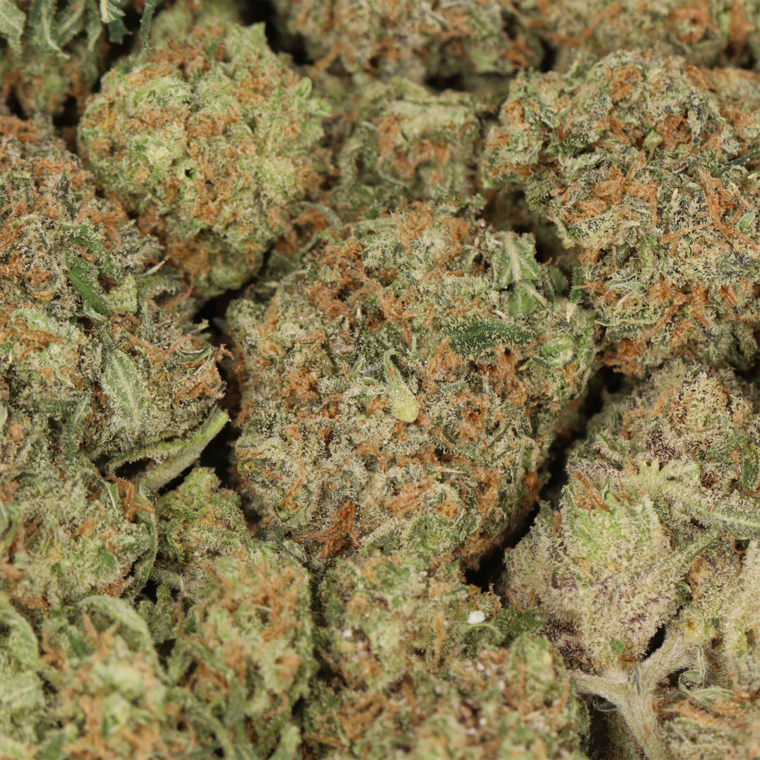 Cookies OG - Image 3