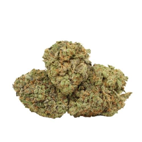 Guava Kush strain cannabis