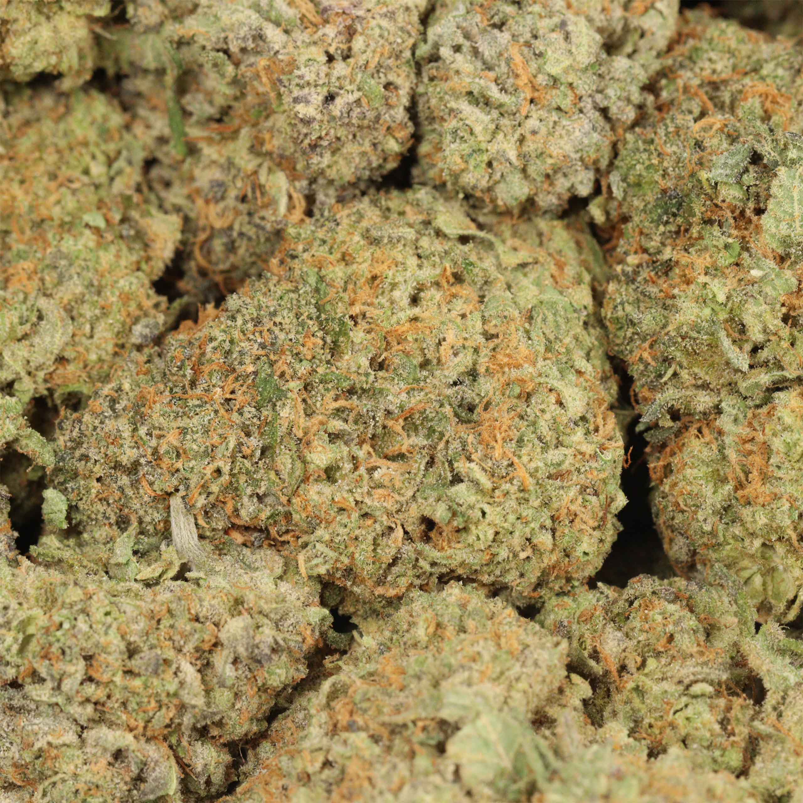 Guava Kush - Image 3