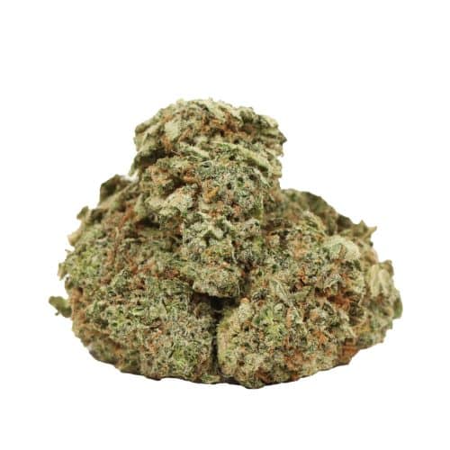 Lemon Kush strain cannabis