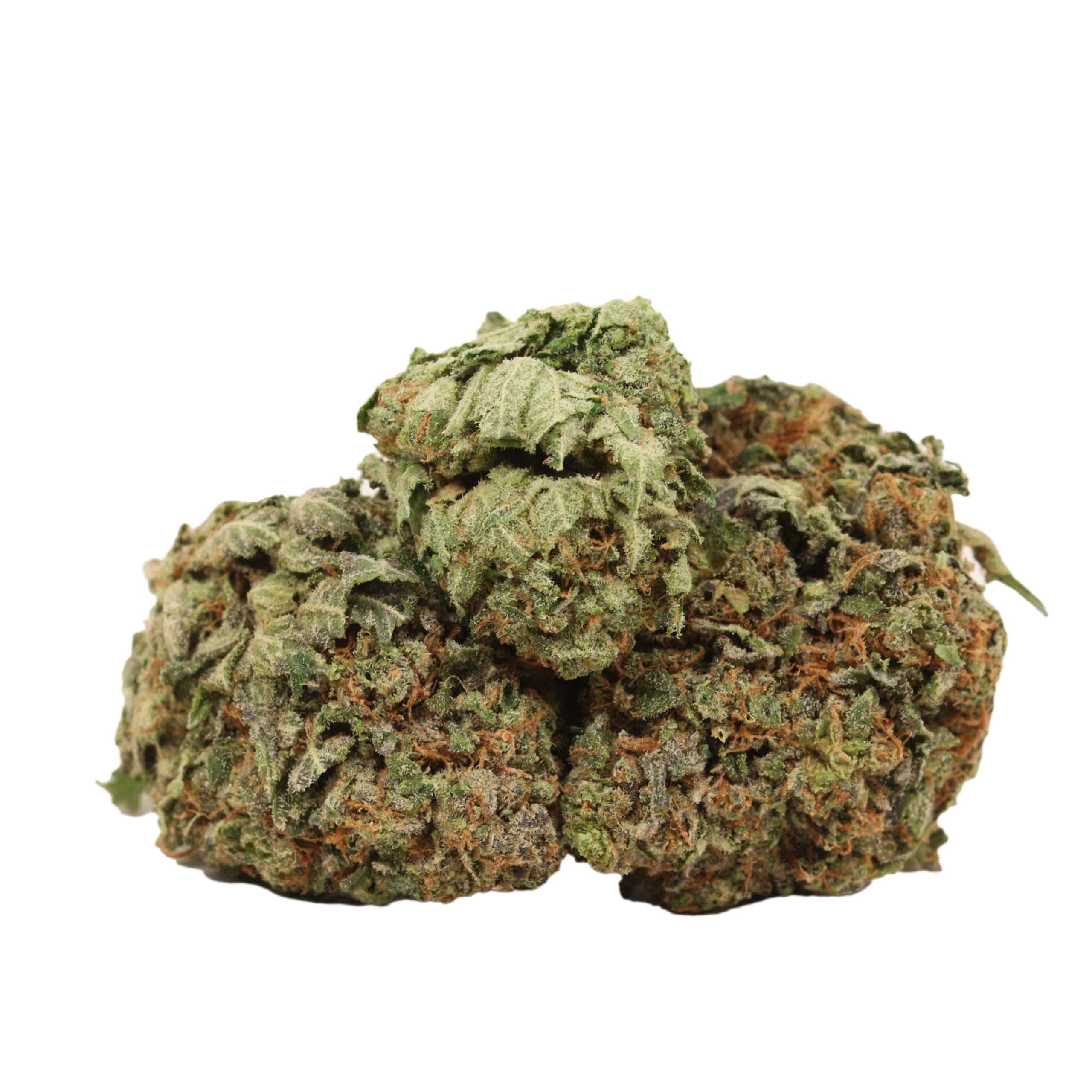 MK Ultra strain cannabis