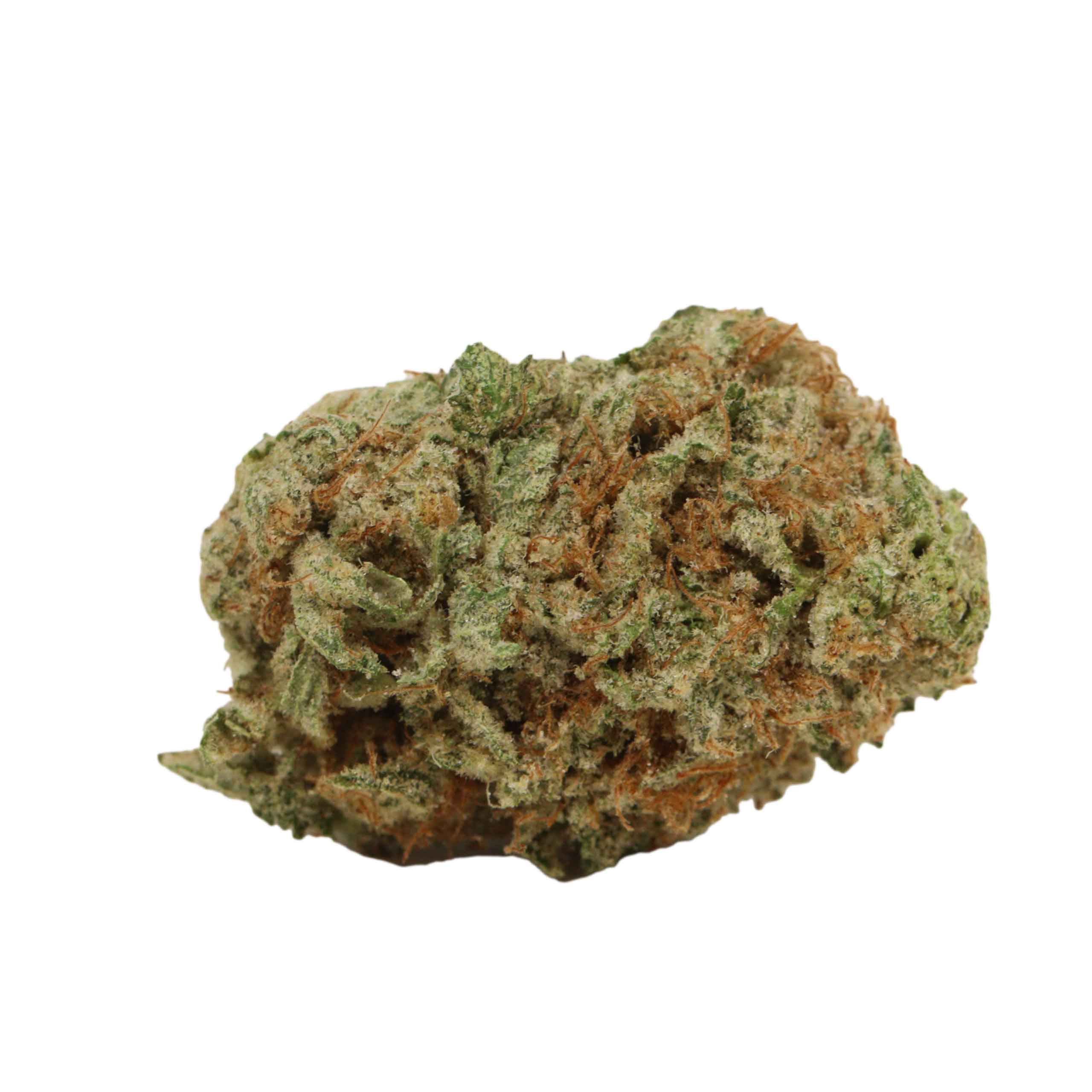 NYC Diesel - Image 2