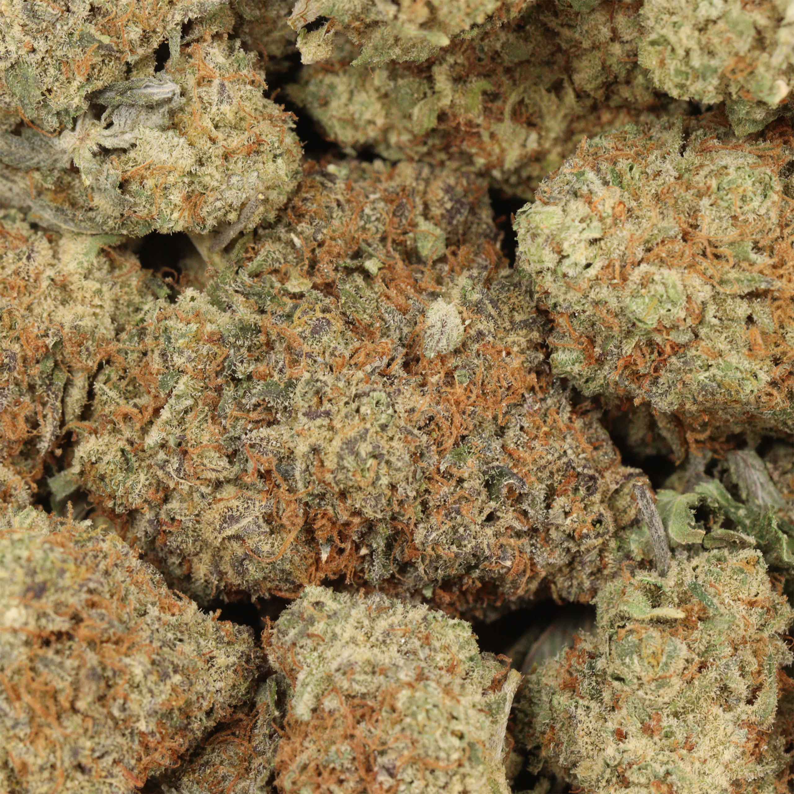 Purple Trainwreck - Image 3