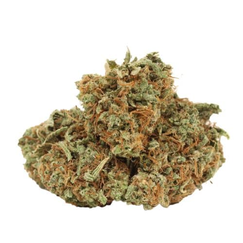 Sour Diesel strain cannabis