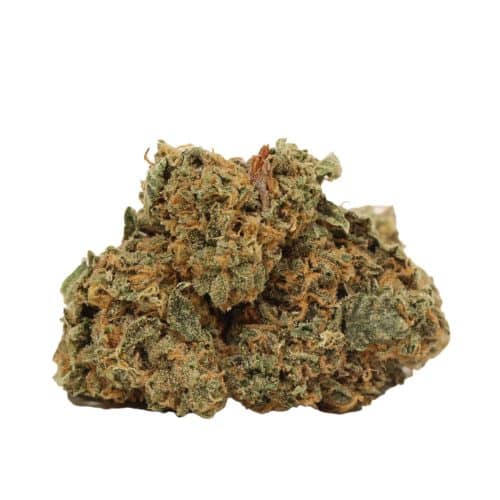 Starbud strain cannabis