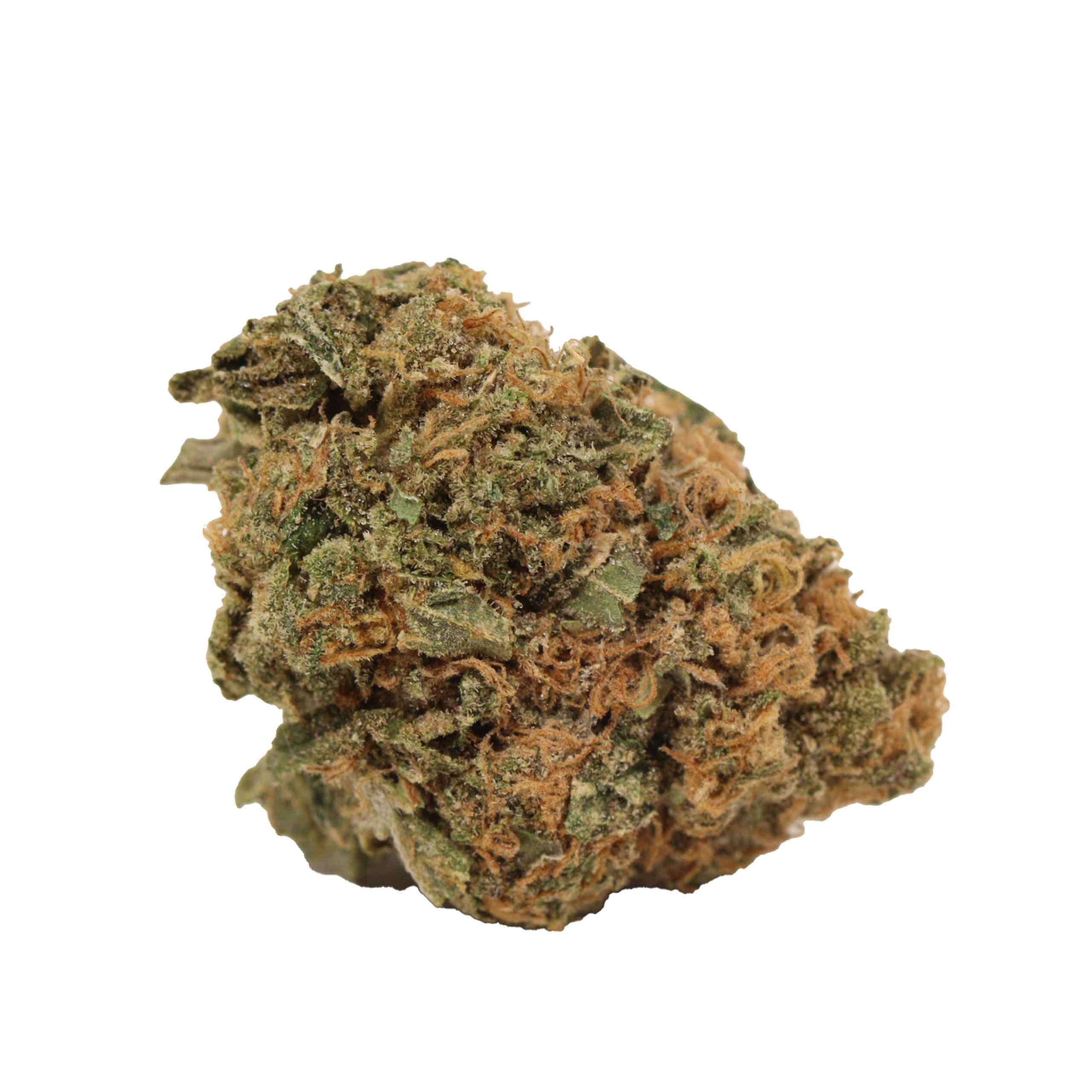 Starbud - Image 2