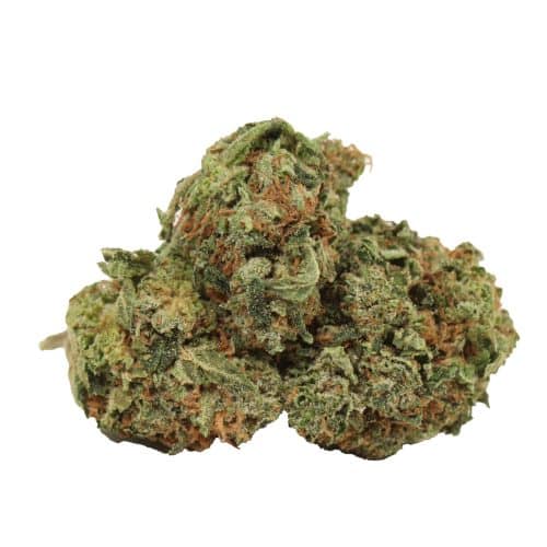 Tom Ford Pink Kush strain cannabis