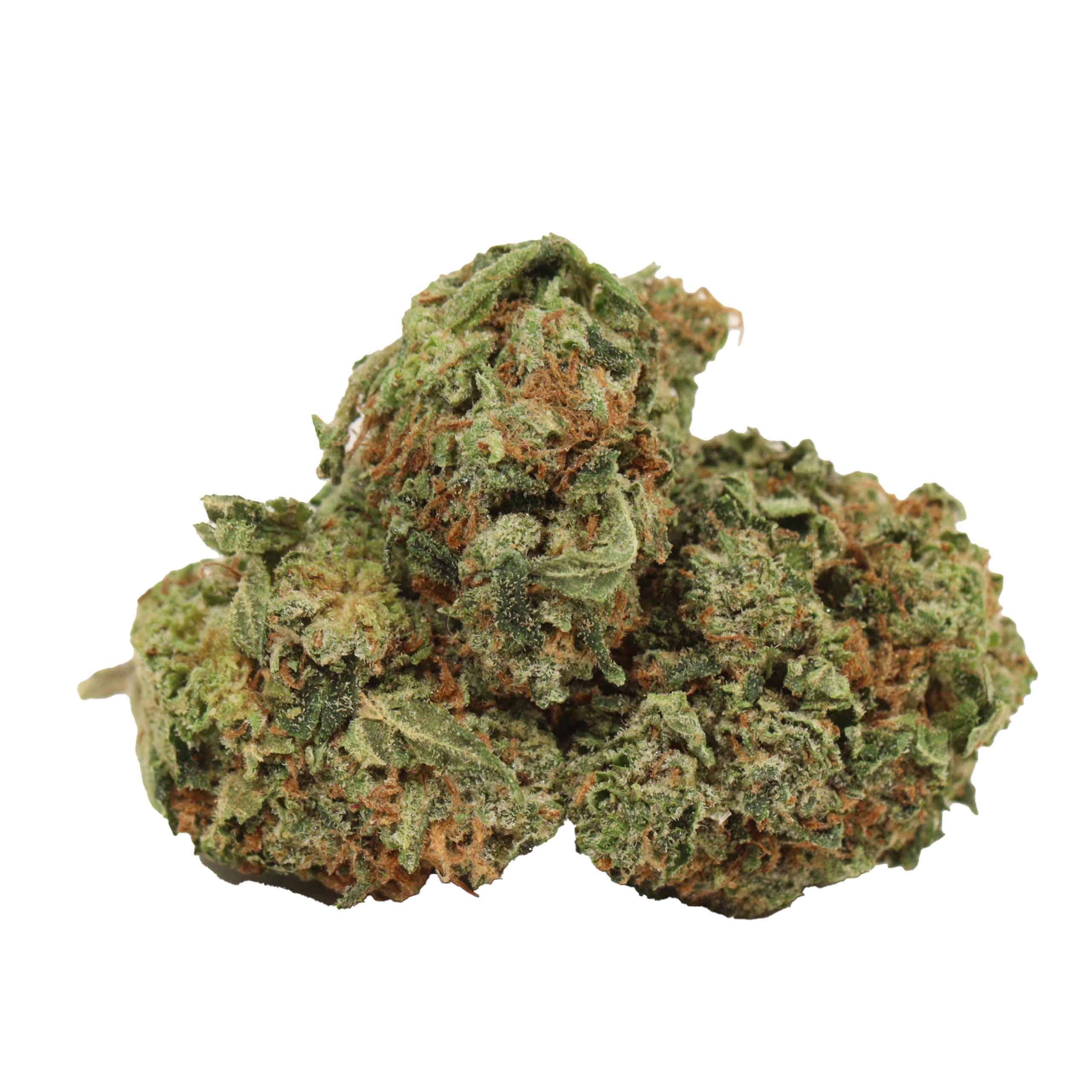 Tom Ford Pink Kush strain cannabis
