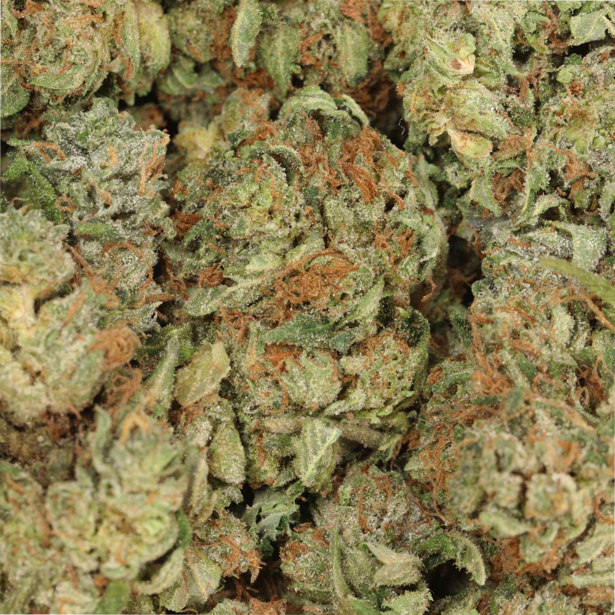 Tom Ford Pink Kush - Image 3