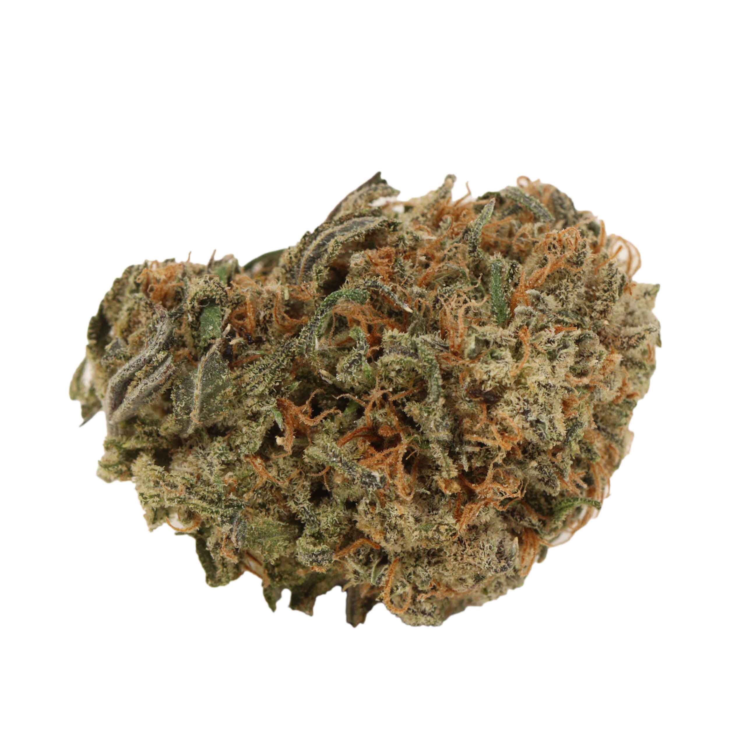 UBC Chemo Kush - Image 2