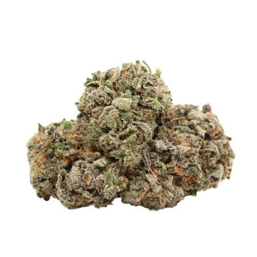White Truffle strain cannabis