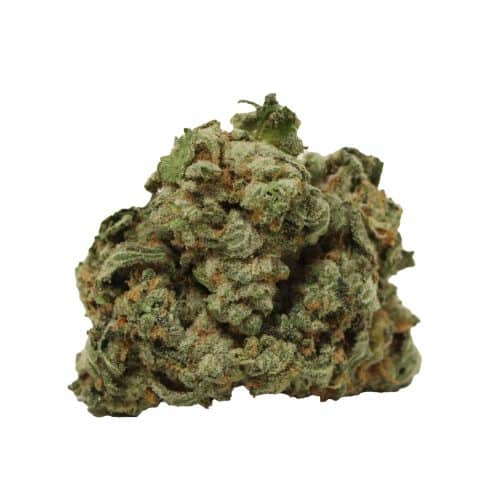 White Widow strain cannabis