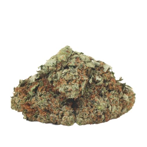9 Pound Hammer strain cannabis