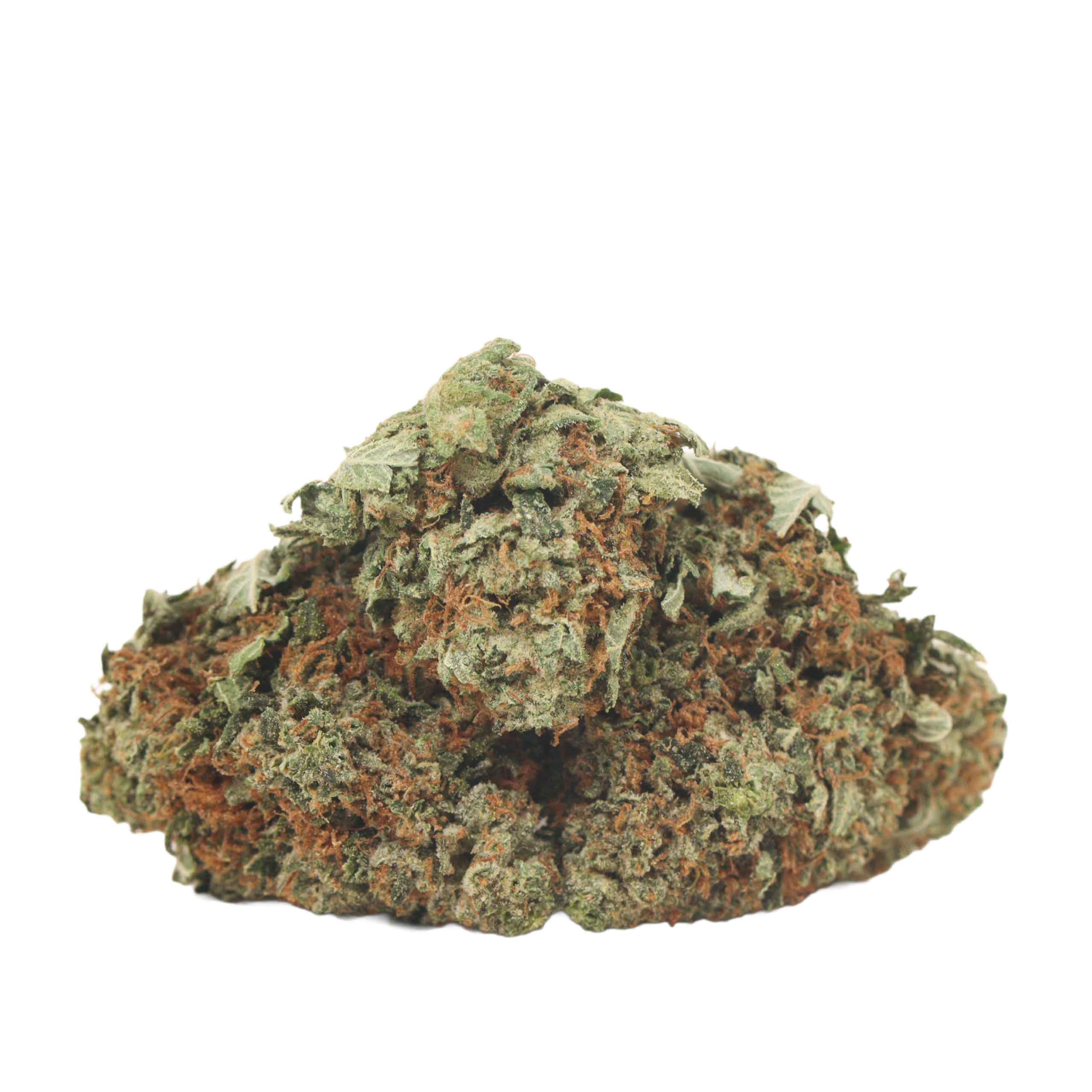 9 Pound Hammer strain cannabis