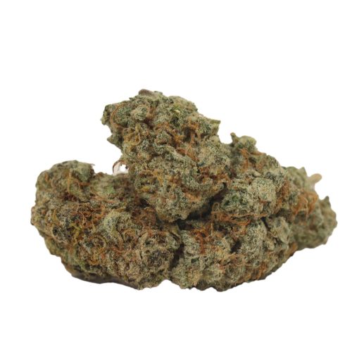 94 Monkey strain cannabis