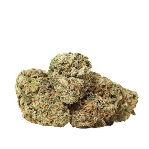 9 Pound Hammer strain cannabis