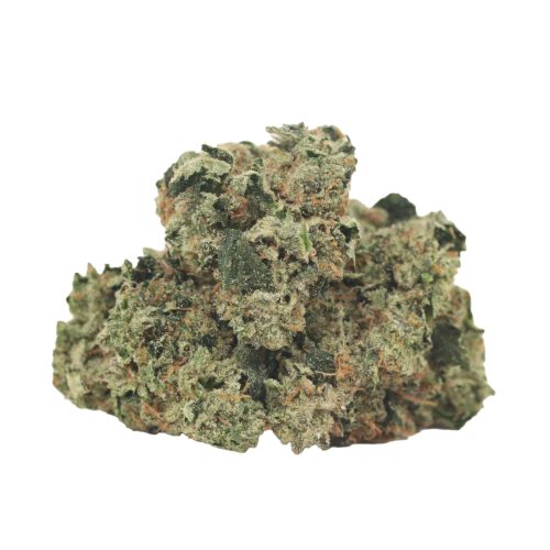 Afghani Pink strain cannabis