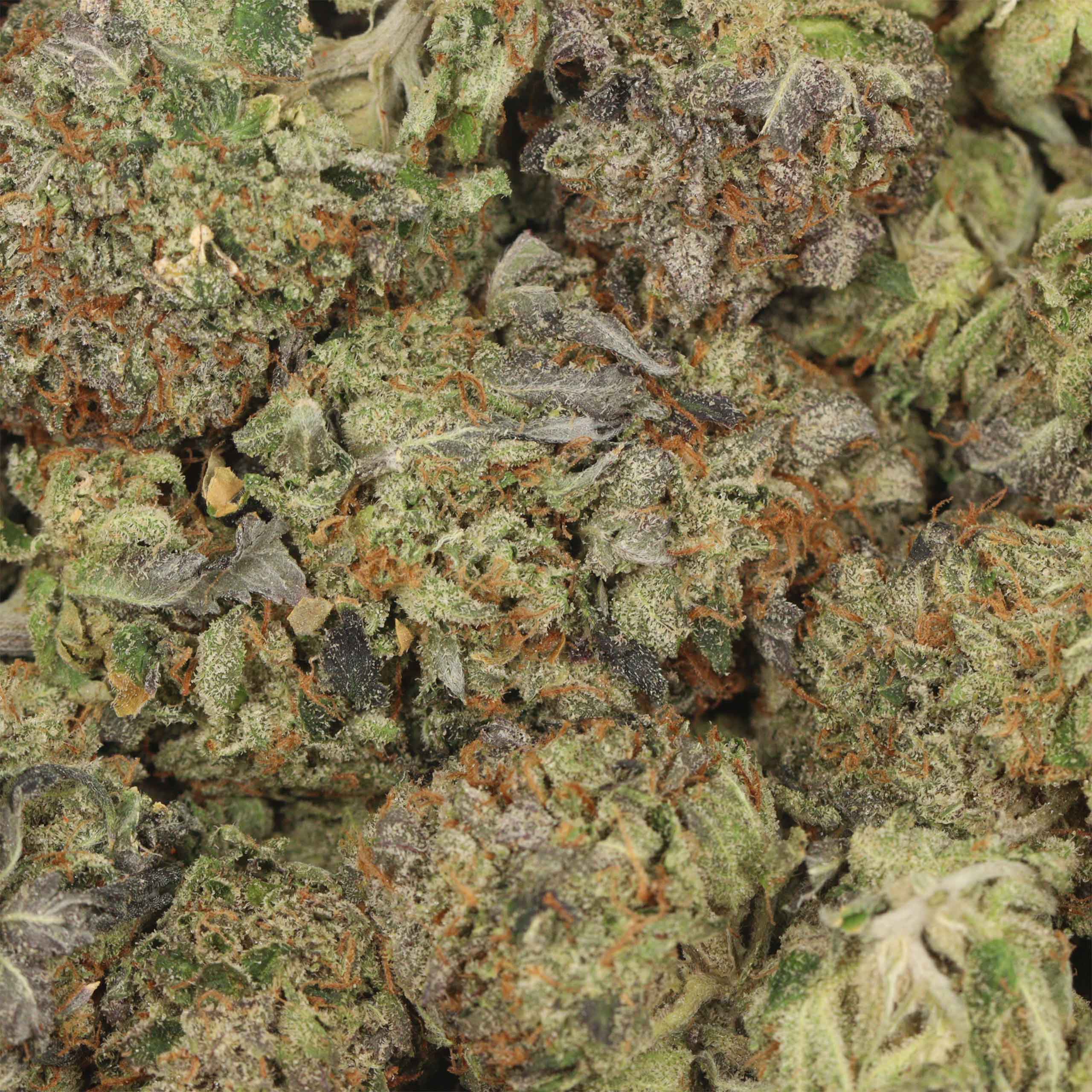 Afghani Death Bubba - Image 3