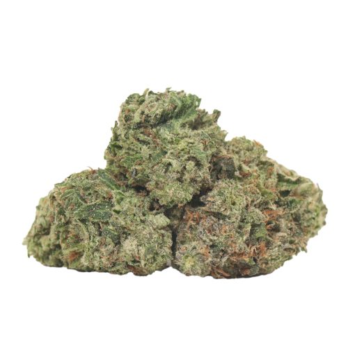 Afghani Pink strain cannabis