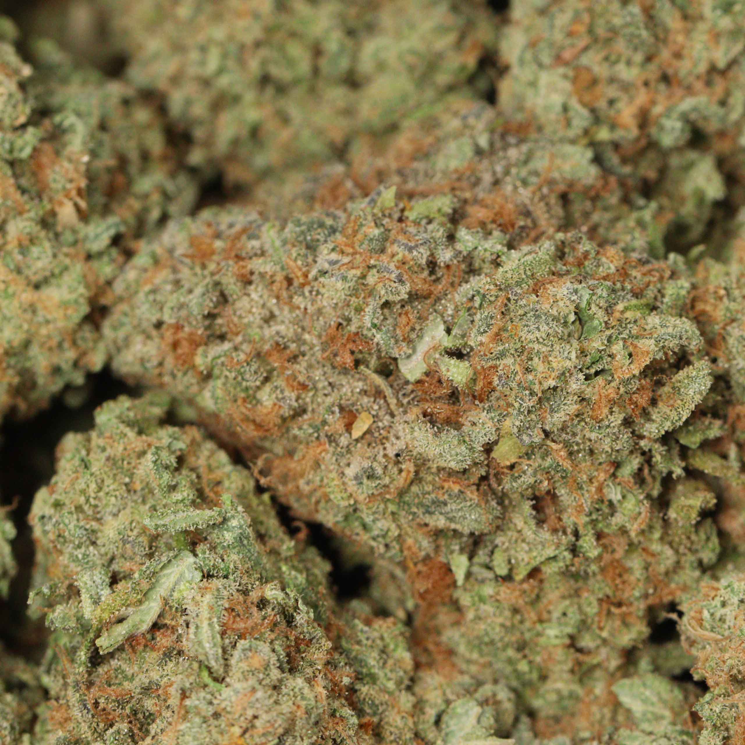 Alaskan Thunder Fuck - Image 3