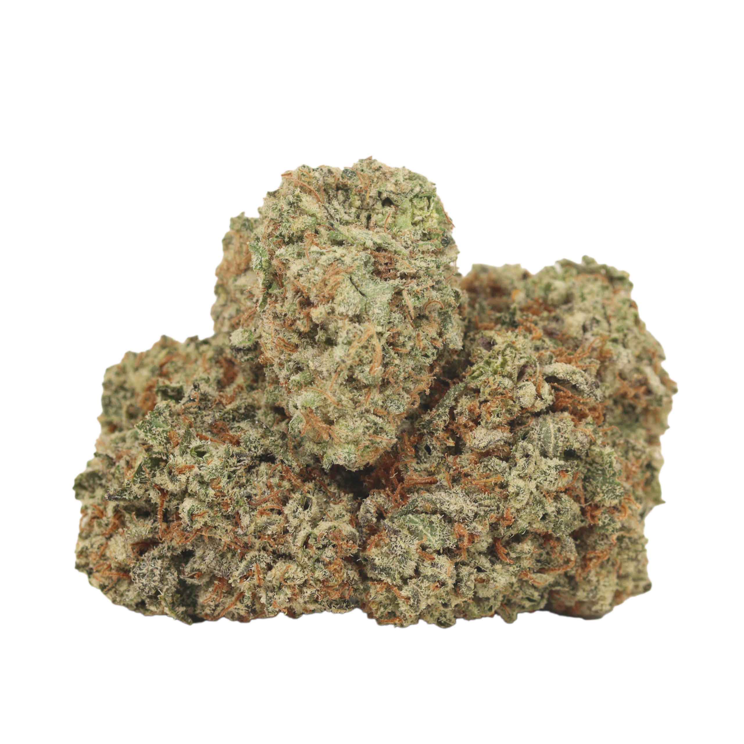 Source photograph: Alien Cookies