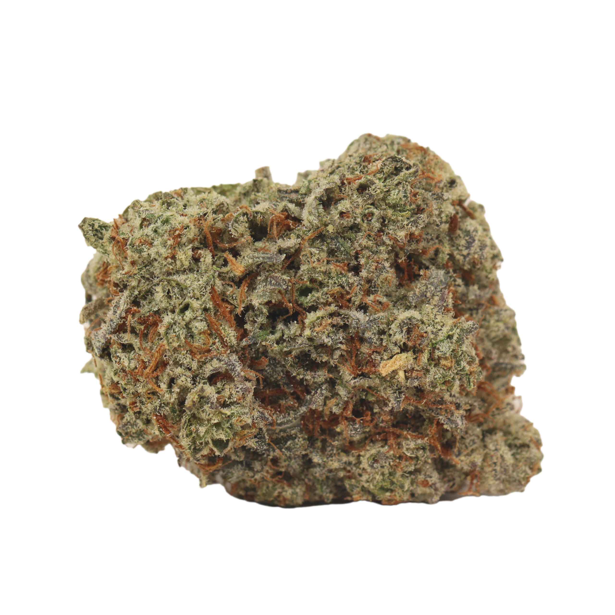 Alien Cookies - Image 2
